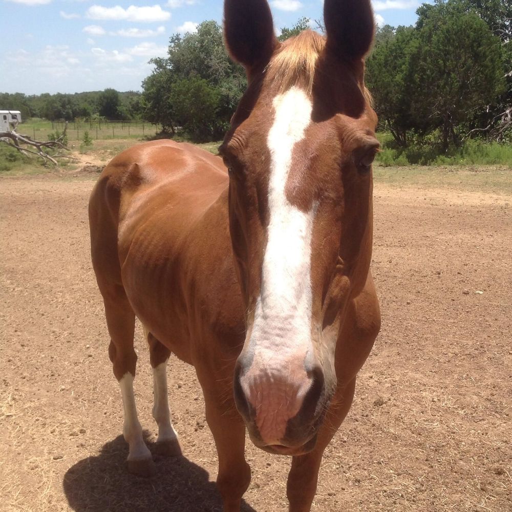 Meet your Posher, Barbara